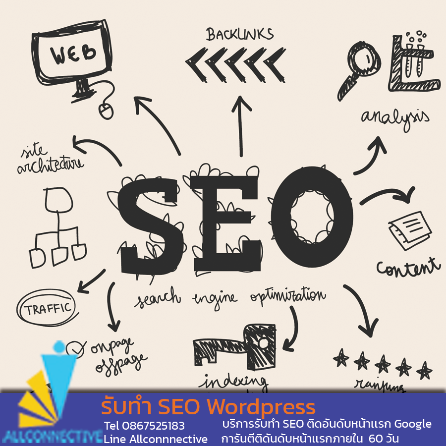 ทำ SEO Wordpress ,รับทำSEO wordpress